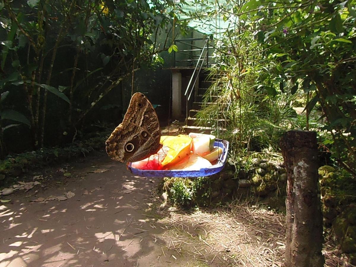 Hostal Pablo'S House マチュピチュ エクステリア 写真